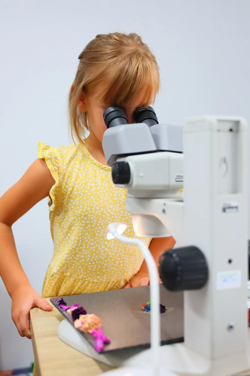 Fetiță care privește la stereomicroscop